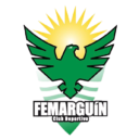 โลโก้ CD Femarguín