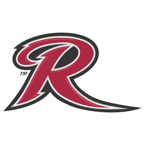 โลโก้ Rider Broncs