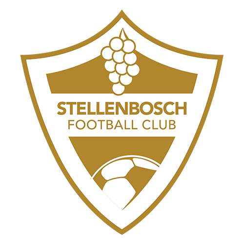 โลโก้ Stellenbosch