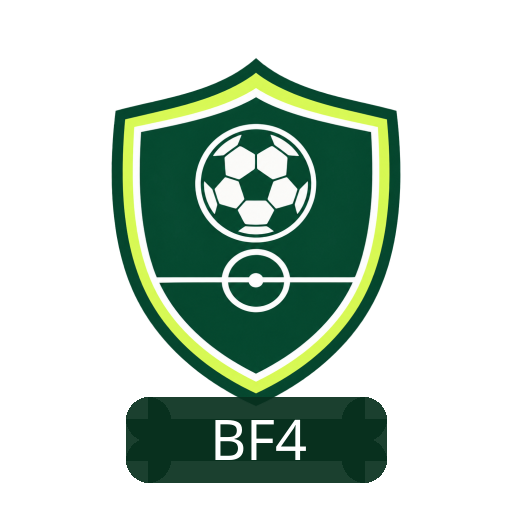 Blois Foot 41